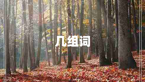 幾組詞 幾組詞