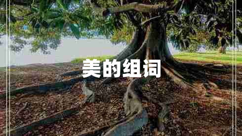 美的組詞