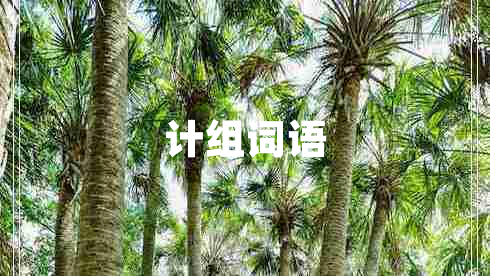 計組詞語 計組詞語