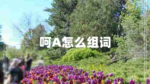 呵A怎么組詞