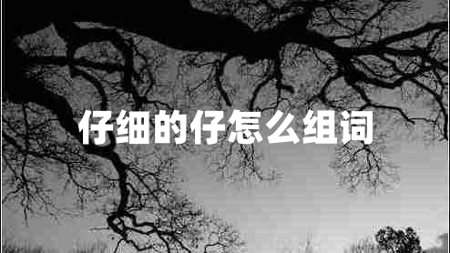 仔細(xì)的仔怎么組詞 仔細(xì)的仔怎么組詞