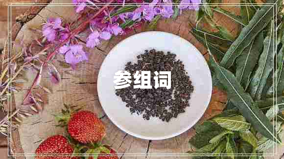 參組詞