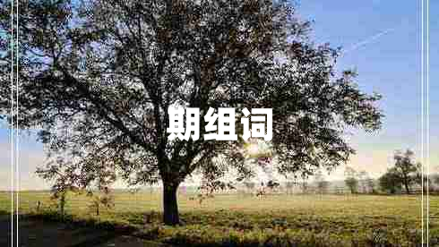 期組詞