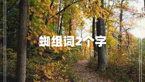 蜘組詞2個字