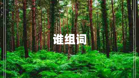 誰組詞