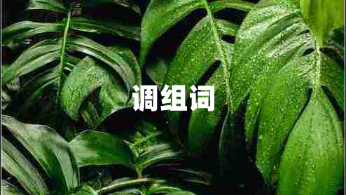 調(diào)組詞