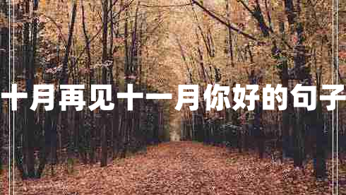 十月再見(jiàn)十一月你好的句子