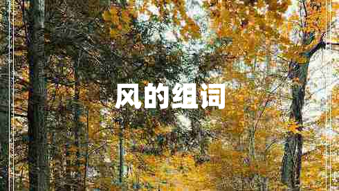 風(fēng)的組詞