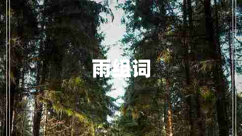 雨組詞 雨組詞