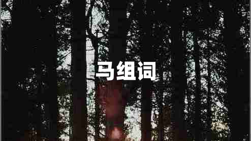 馬組詞