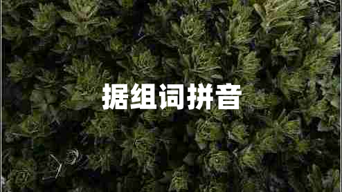 據(jù)組詞拼音 據(jù)組詞拼音