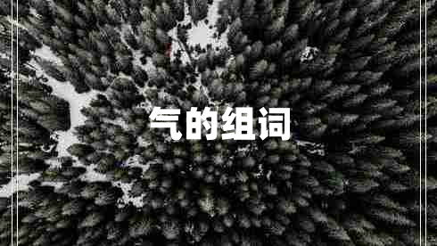氣的組詞