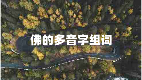 佛的多音字組詞