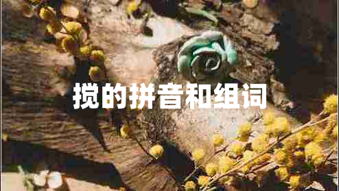 攪的拼音和組詞 攪的拼音和組詞