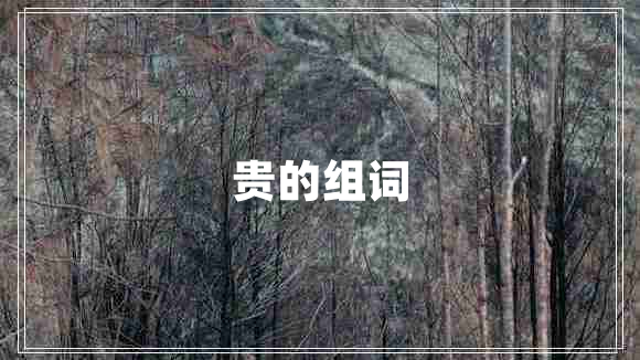 貴的組詞 貴的組詞