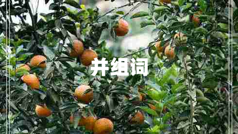 并組詞