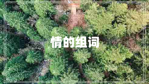 情的組詞 情的組詞