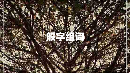 般字組詞 般字組詞
