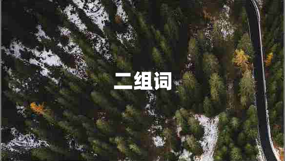 二組詞 二組詞