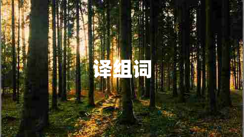 譯組詞