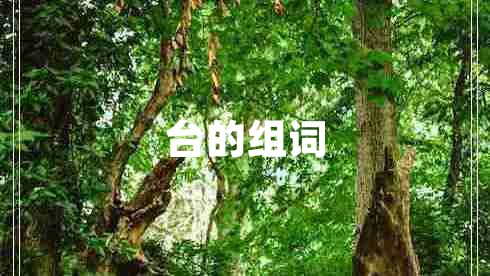 臺(tái)的組詞