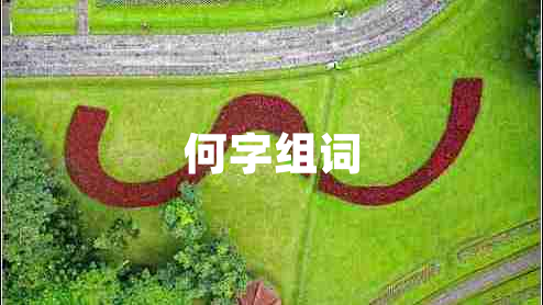 何字組詞