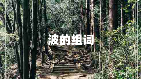 波的組詞 波的組詞