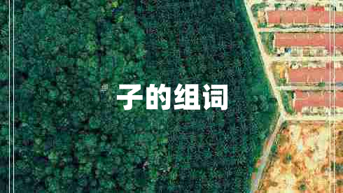 子的組詞