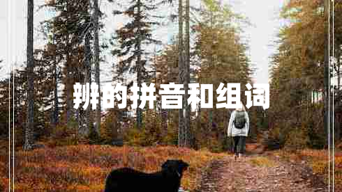 辨的拼音和組詞