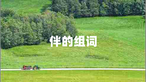 伴的組詞 伴的組詞