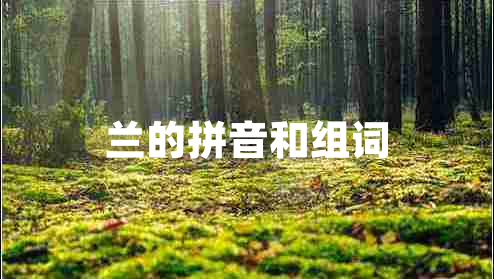 蘭的拼音和組詞 蘭的拼音和組詞