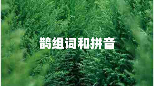 鵲組詞和拼音