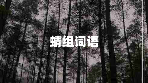 蜻組詞語 蜻組詞語