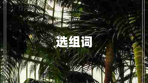 選組詞 選組詞
