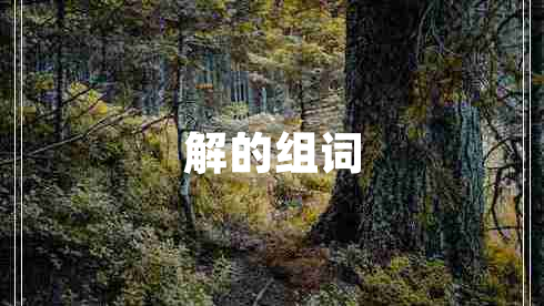 解的組詞