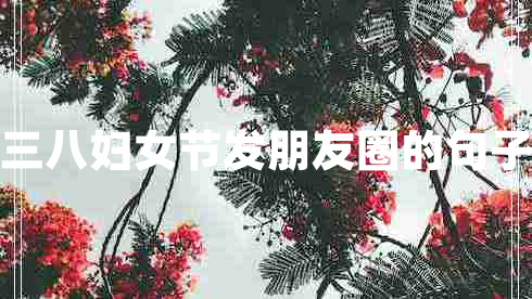 三八婦女節(jié)發(fā)朋友圈的句子