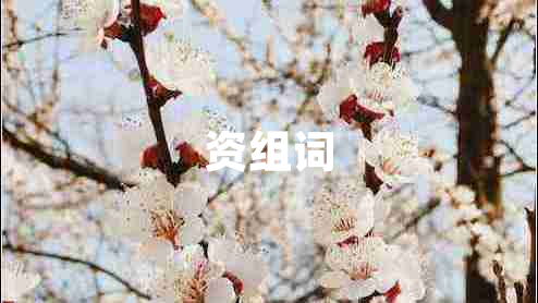 資組詞