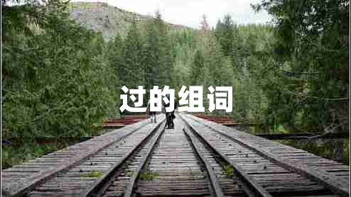 過的組詞 過的組詞