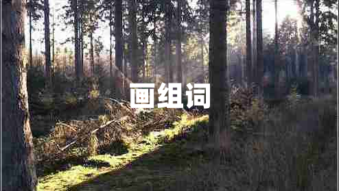 畫組詞