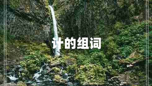 計(jì)的組詞