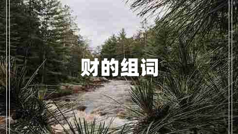 財(cái)?shù)慕M詞
