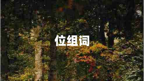位組詞