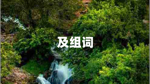 及組詞 及組詞