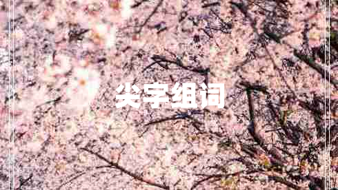 尖字組詞