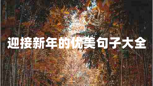 迎接新年的優(yōu)美句子大全