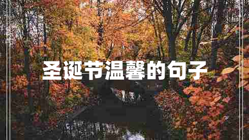 圣誕節(jié)溫馨的句子