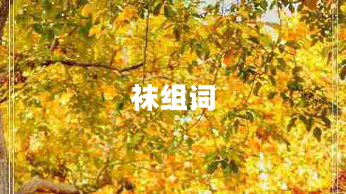 襪組詞 襪組詞