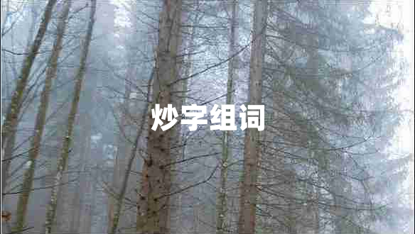 炒字組詞 炒字組詞