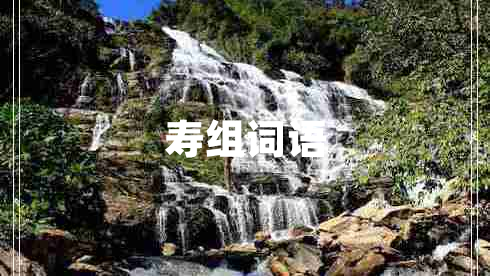 壽組詞語 壽組詞語