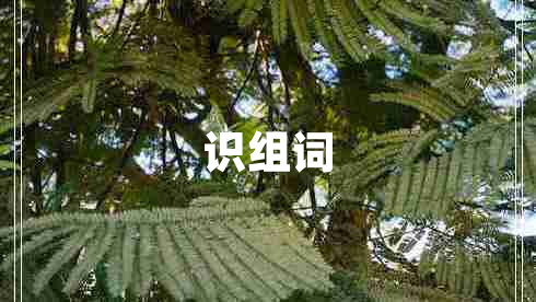 識(shí)組詞